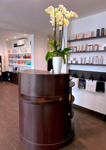 Accueil caisse Espace Tendance